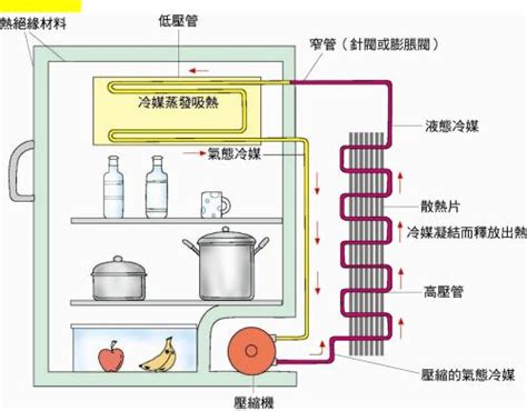 冰箱運作原理|冰箱的工作原理，从内在了解冰箱的制冷恒温流程，正确使用延长。